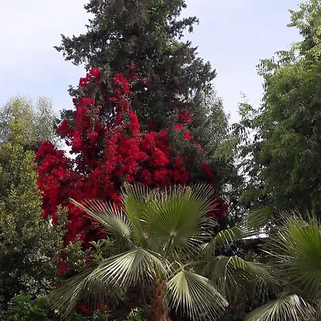 Melissa Moment Kemer