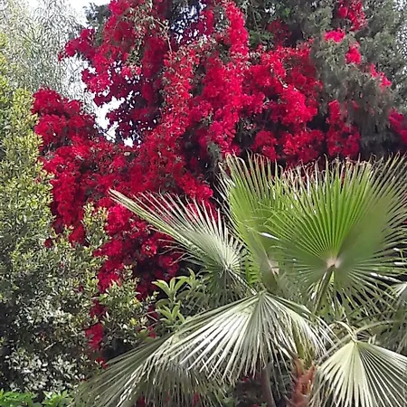 Melissa Moment 4* Кемер